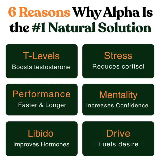 Reignite Your Drive. Dominate in Testosterone Mode.